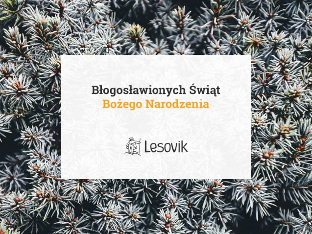 Lesovik-BN-2015-3